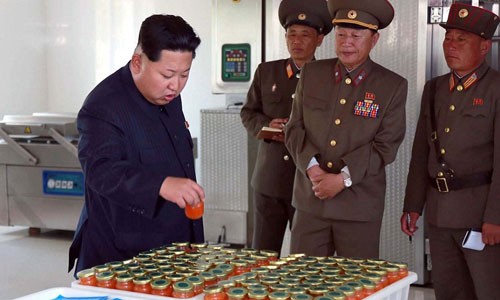 Lanh dao Kim Jong-un thich thu nuoi ca hoi-Hinh-7